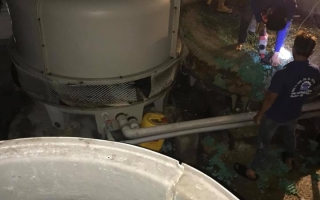 Điện Lạnh Đồng Nai | Điện Lạnh Biên Hòa| Bảo trì điện lạnh đồng nai Điện Lạnh Đồng Nai | Điện Lạnh Biên Hòa| Bảo trì điện lạnh đồng nai